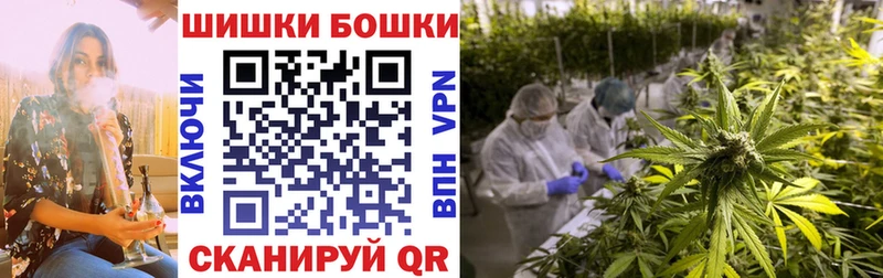 Что такое Курган Канабис  Кокаин  БУТИРАТ  МЕФ  Alpha PVP 