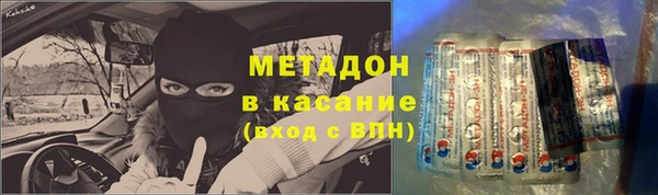 шишки Белокуриха