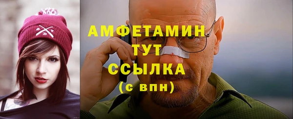 шишки Белокуриха