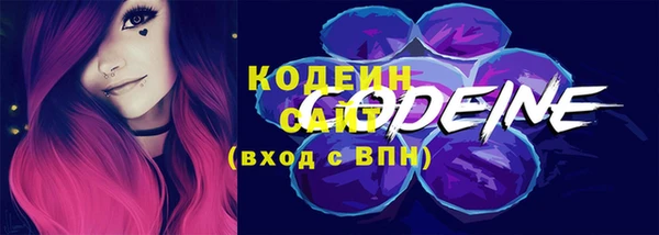 шишки Белокуриха