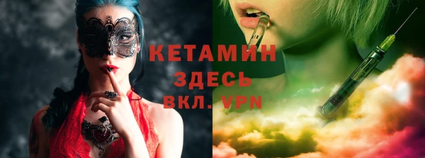 шишки Белокуриха