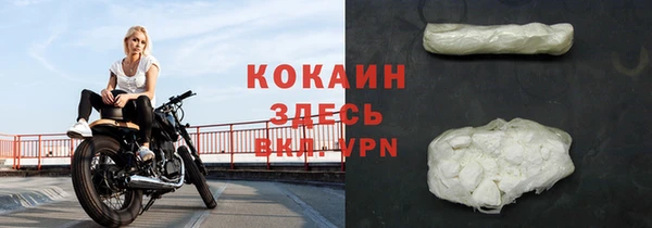 шишки Белокуриха