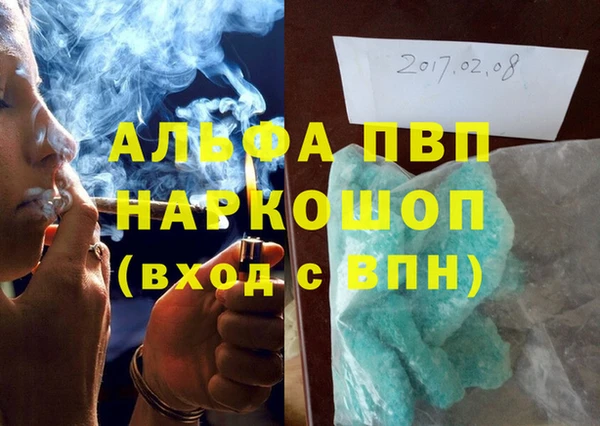 шишки Белокуриха