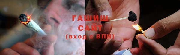 шишки Белокуриха