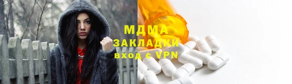 шишки Белокуриха