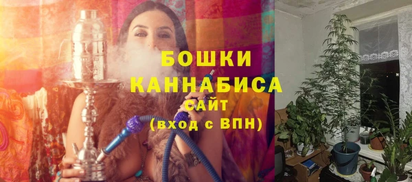 шишки Белокуриха