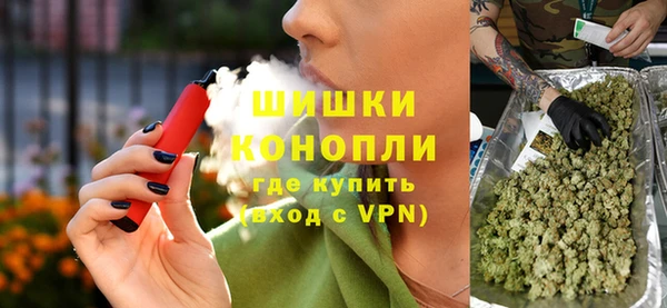 шишки Белокуриха