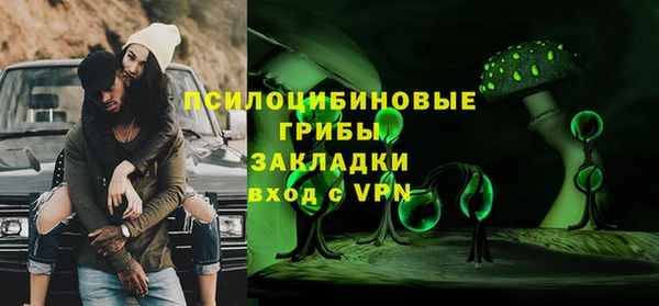 шишки Белокуриха
