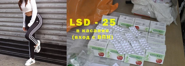 шишки Белокуриха