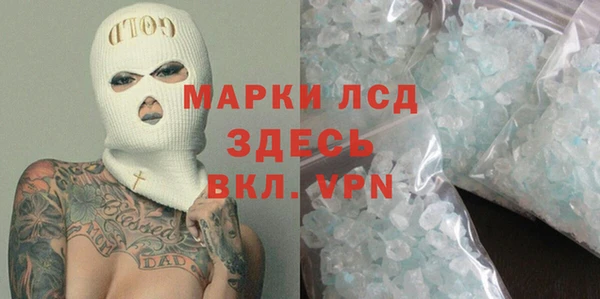 шишки Белокуриха