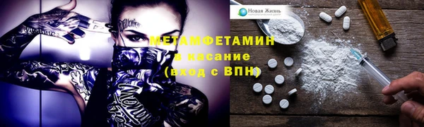 шишки Белокуриха