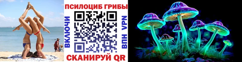 купить закладку  Курган  Псилоцибиновые грибы GOLDEN TEACHER 